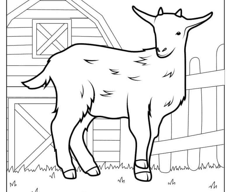 20 Goat Coloring Pages Free PDF Printables