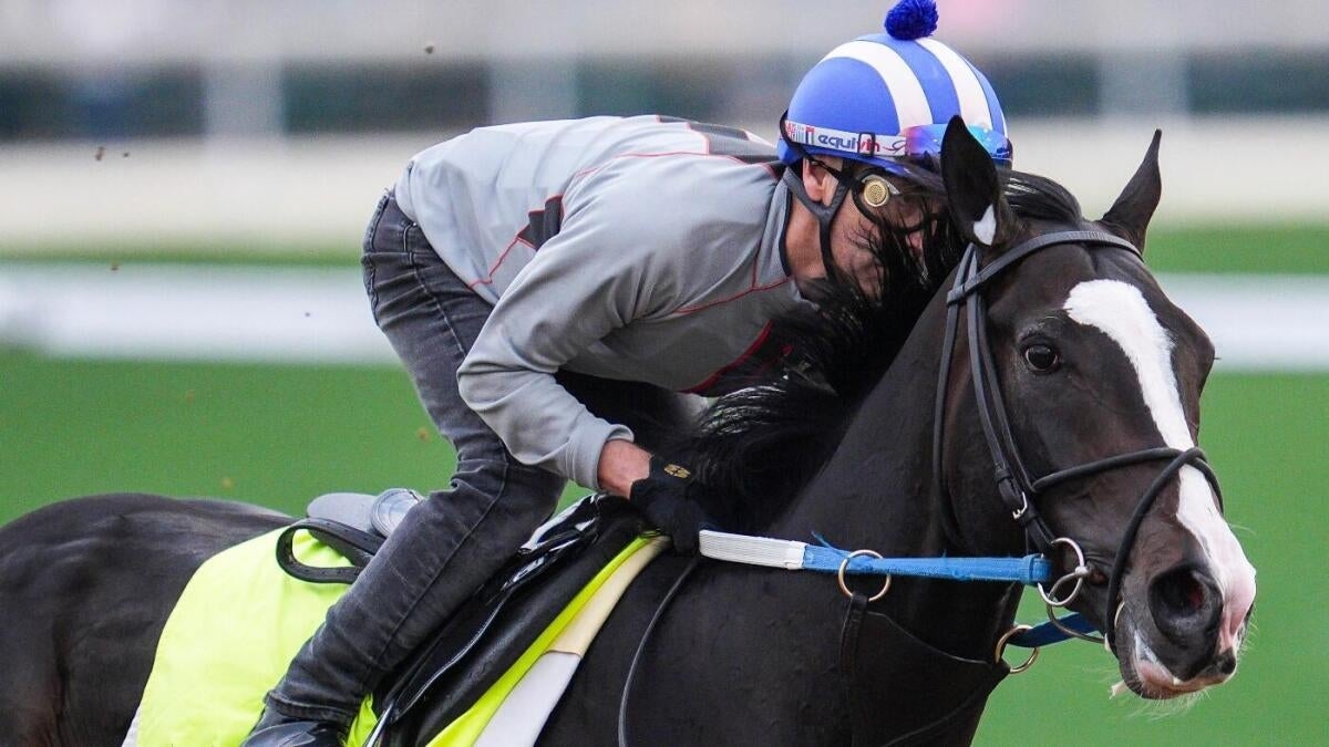 Kentucky Derby 2025 Horses Printable