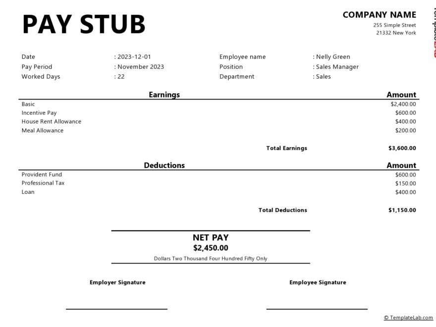 24 Free Pay Stub Templates Word Excel PDF TemplateLab