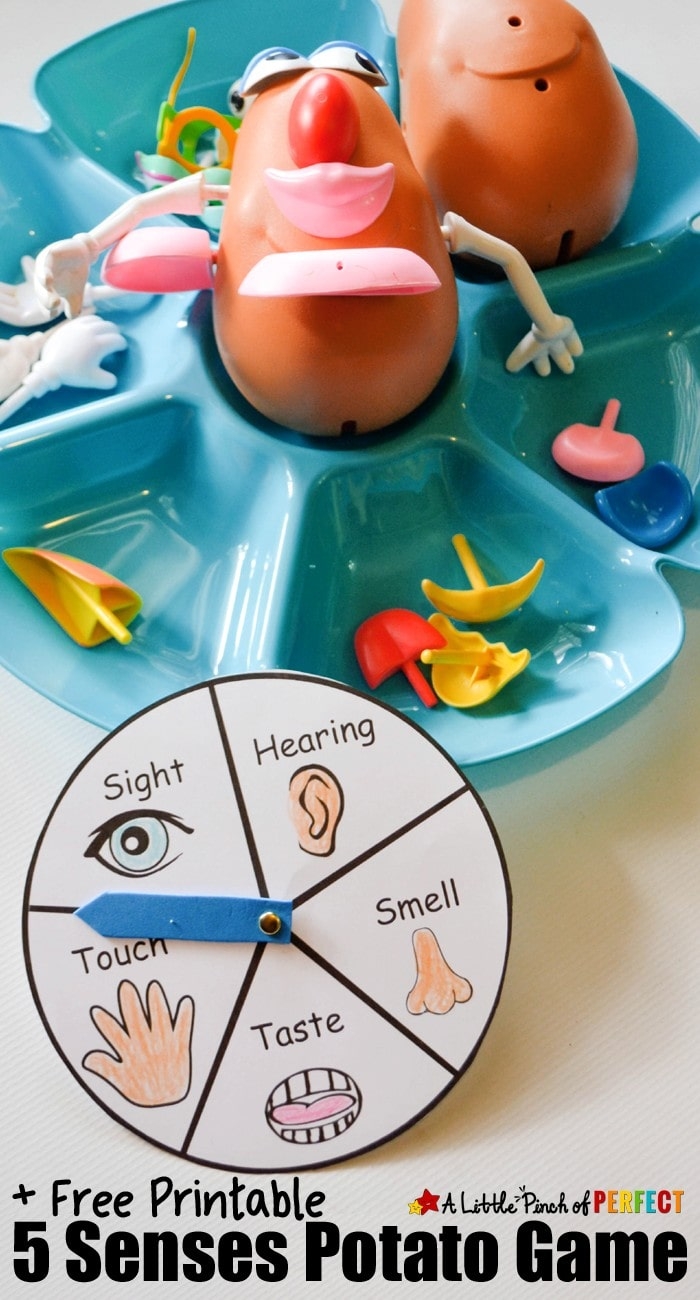 5 Senses Activity With Mr Potato Head Free Printable A Little Pinch Of Perfect