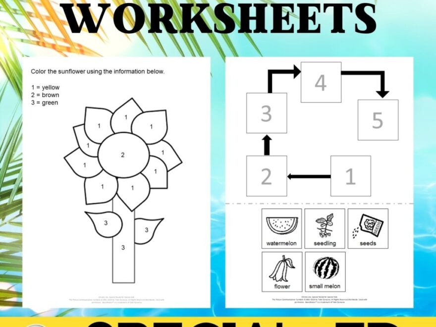 60 No Prep Summer Worksheets For Special Education Math ELA Science Worksheets Special Needs For Special Kids