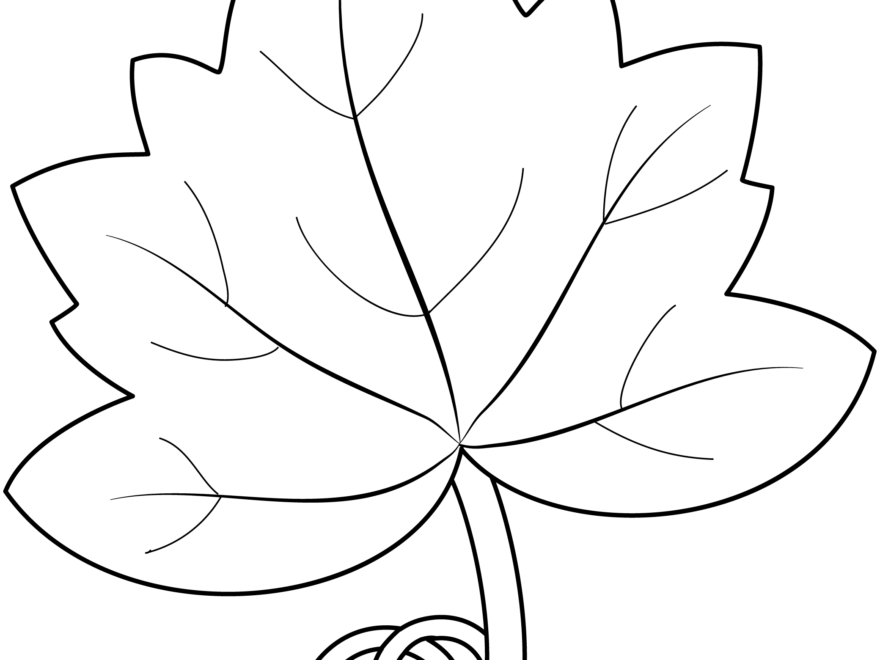 8 Best Pumpkin Leaves Ideas Pumpkin Leaves Leaf Template Printable Pumpkin Template