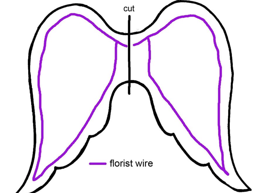 9 Angel Wings Templates Ideas Wings Angel Wings Angel
