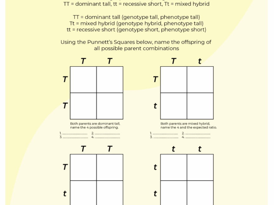 9 Hands On Worksheet Punnett Square Worksheet The Teach Simple Blog Worksheets Library