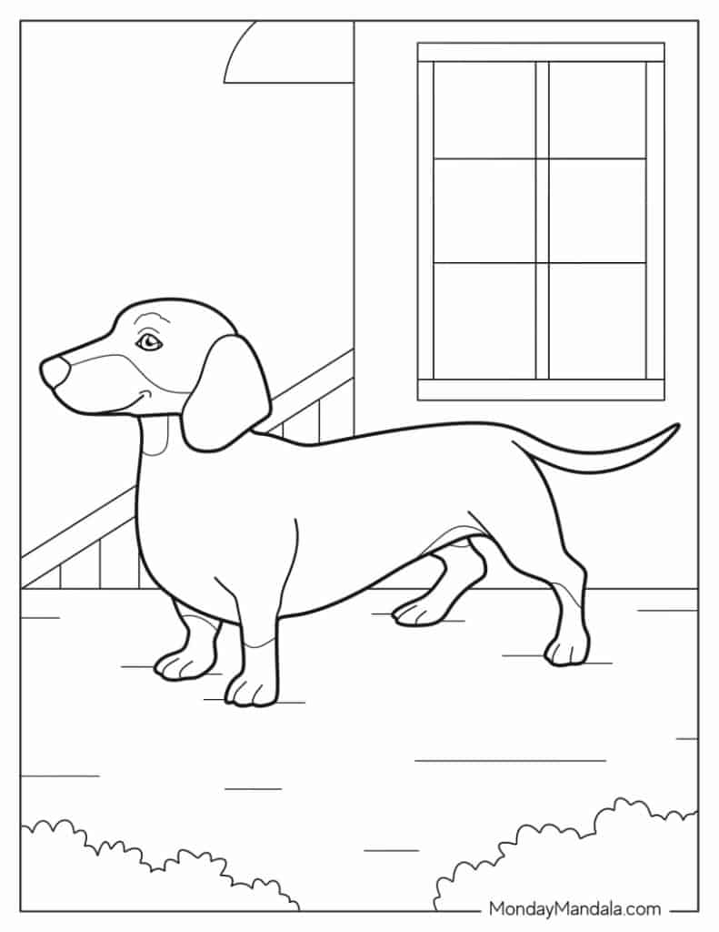 Free Printable Coloring Pages Of Dachshunds