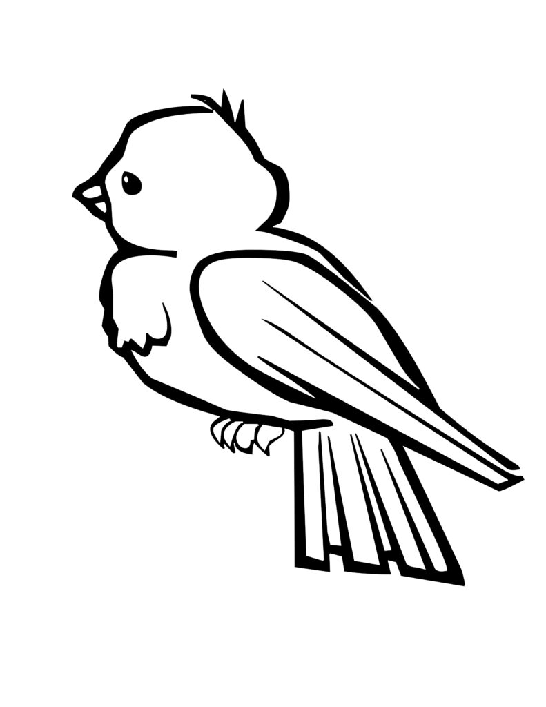 Bird Coloring Pages Best Coloring Pages For Kids