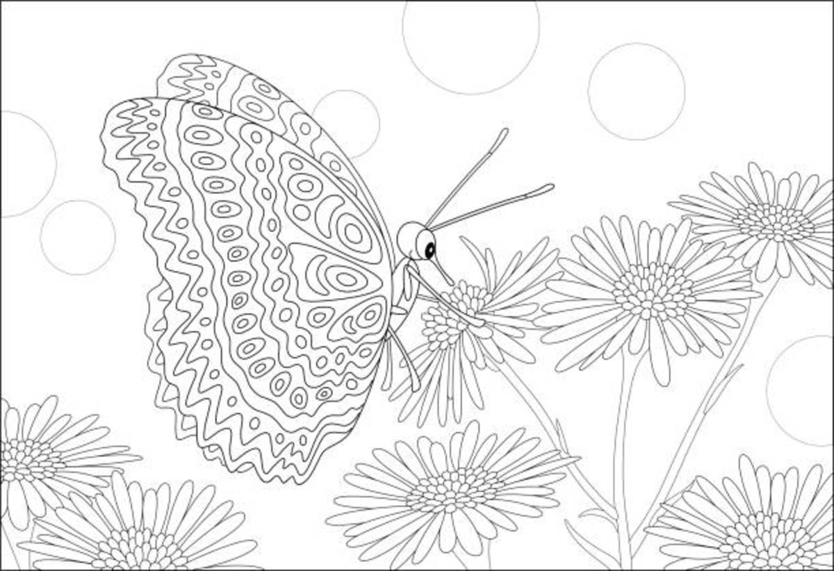 Free Printable Butterfly And Flowers Coloring Pages
