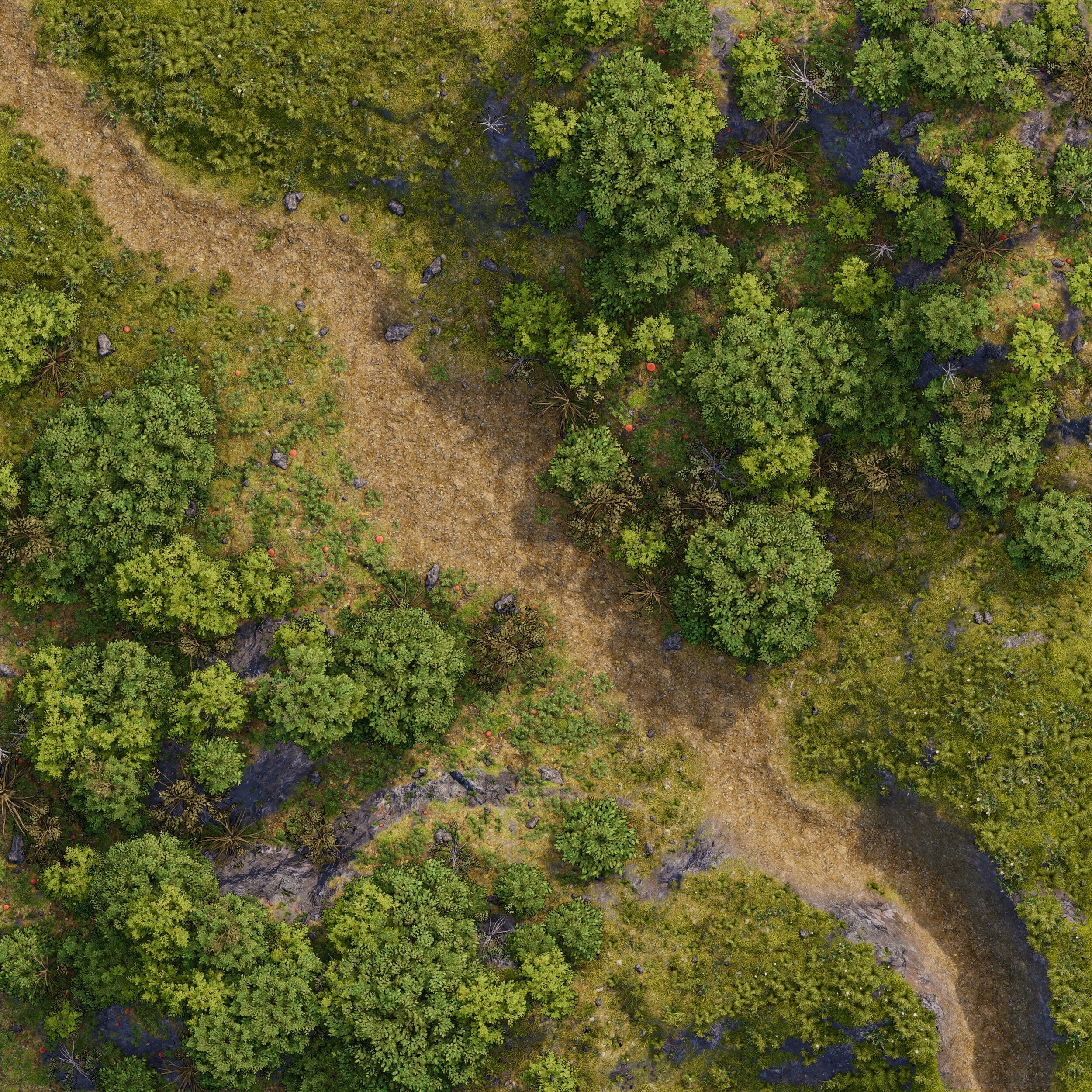Dragon Map Maker