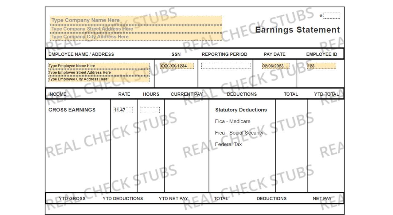 Fillable Printable Pay Stub Template Free