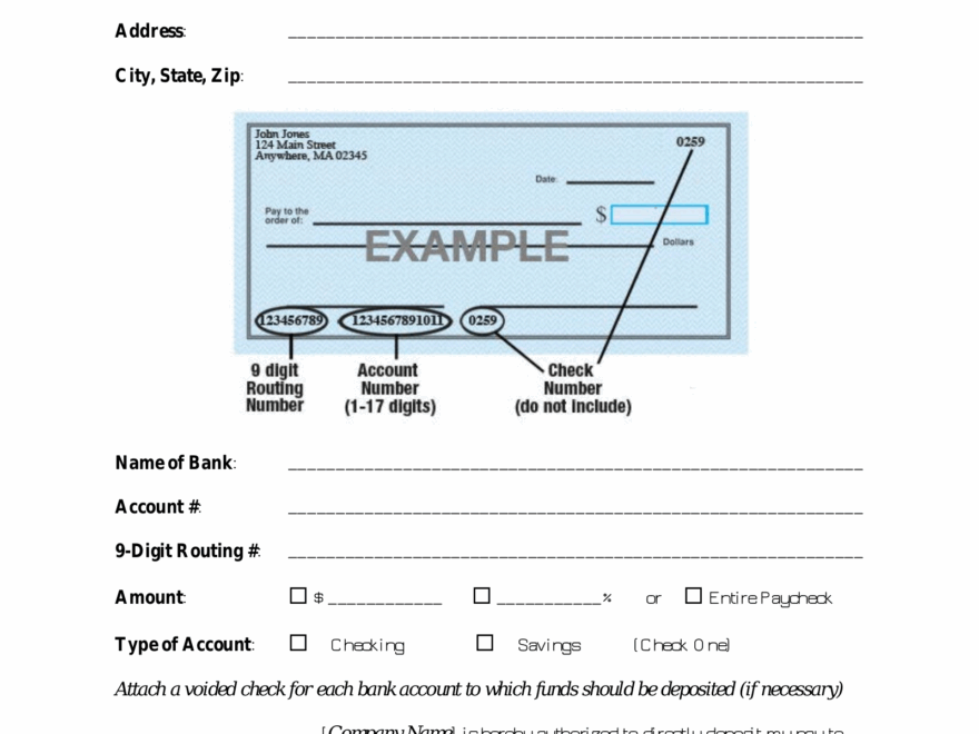 Free Direct Deposit Authorization Forms 22 PDF Word EForms
