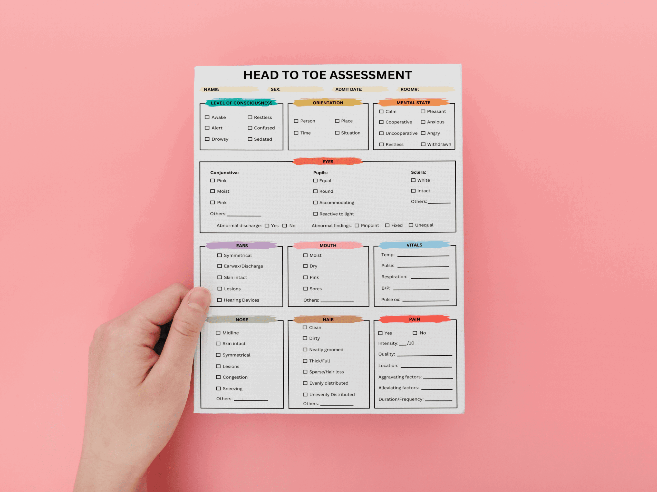 Head To Toe Assessment Nursing Template PDF