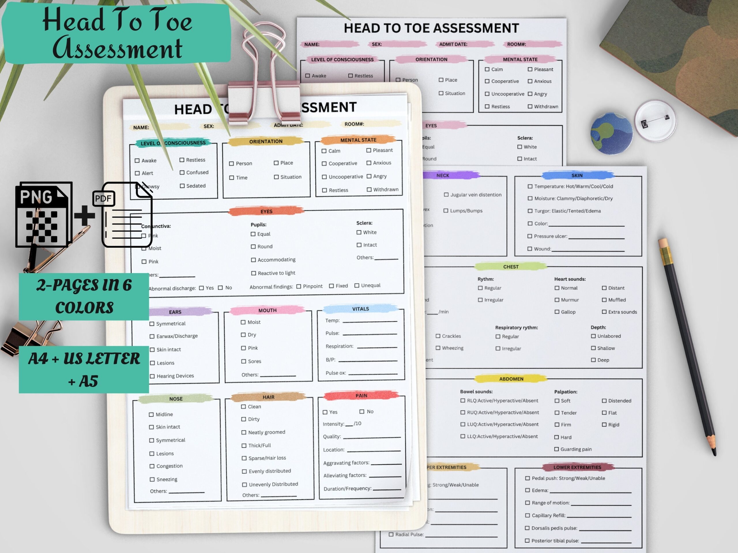 Head To Toe Assessment Nursing Template PDF
