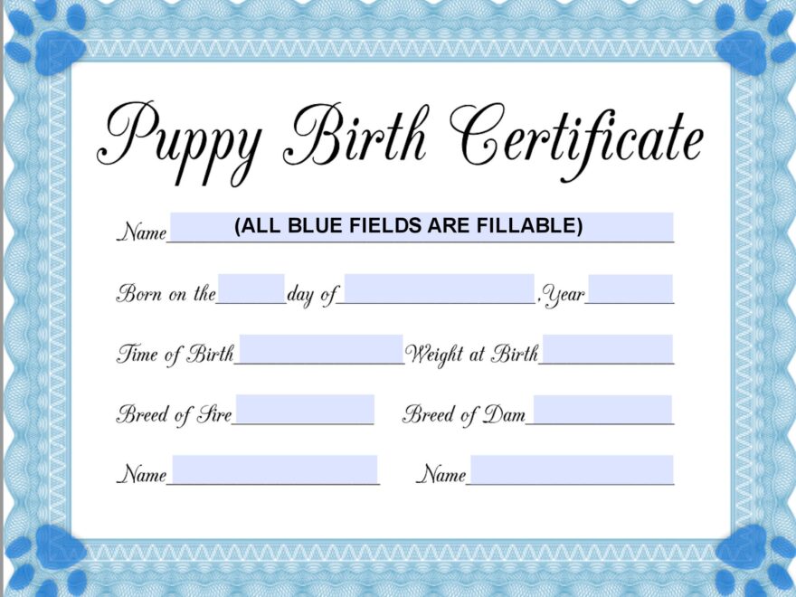INSTANT Fillable Printable PDF Puppy Birth Certificate blue male Printable 8 5x11 4950px3825px450dpi Jpg BOTH Included Etsy Australia