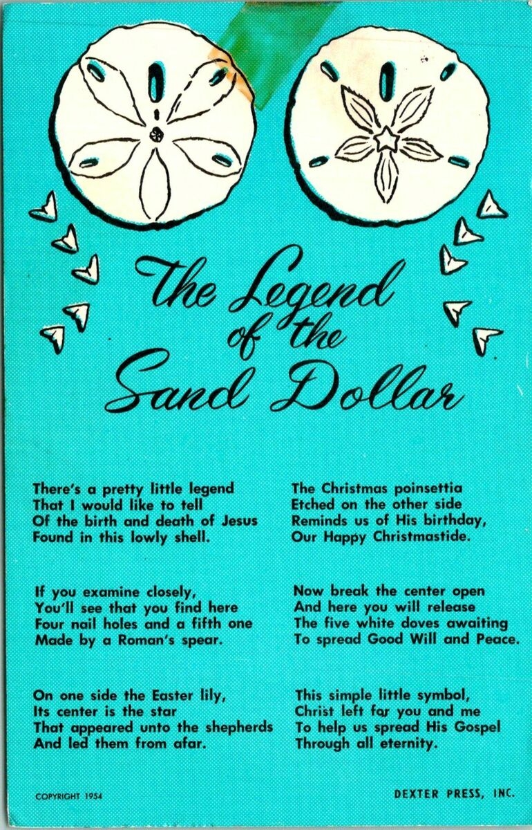 Legend Of The Sand Dollar Poem Postcard Used 33766 EBay