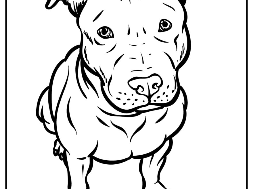 Pitbull Coloring Pages 100 Free Printables