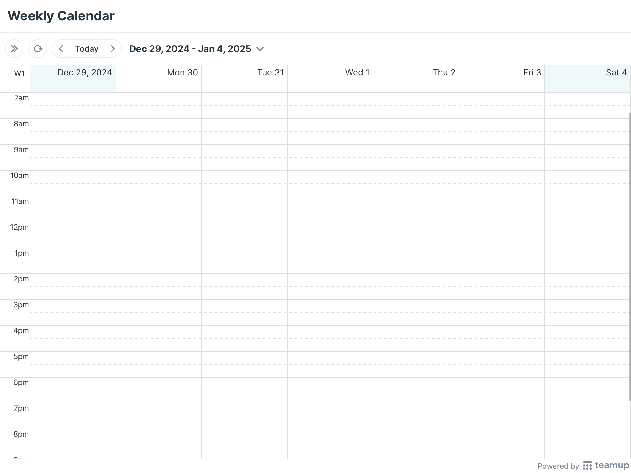 Printable Weekly Planner 2025 Teamup