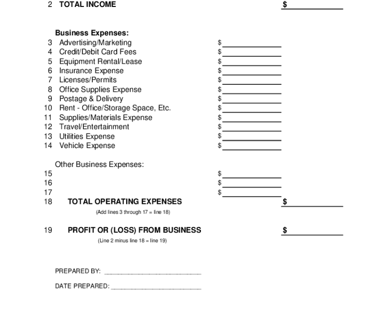 Profit And Loss Statement Template Fill Online Printable Fillable Blank PdfFiller