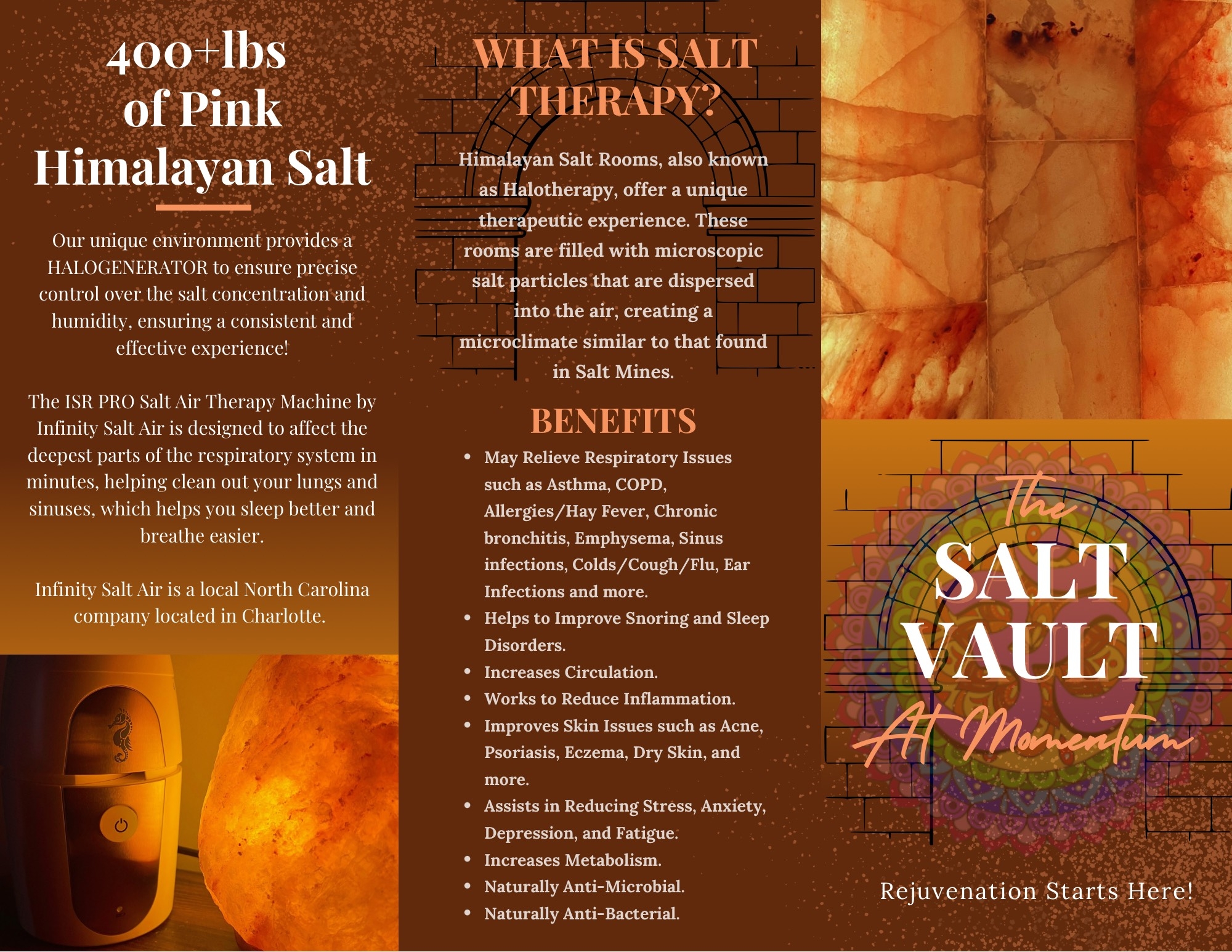 SALT Vault Momentum Momentum Yoga Wellness