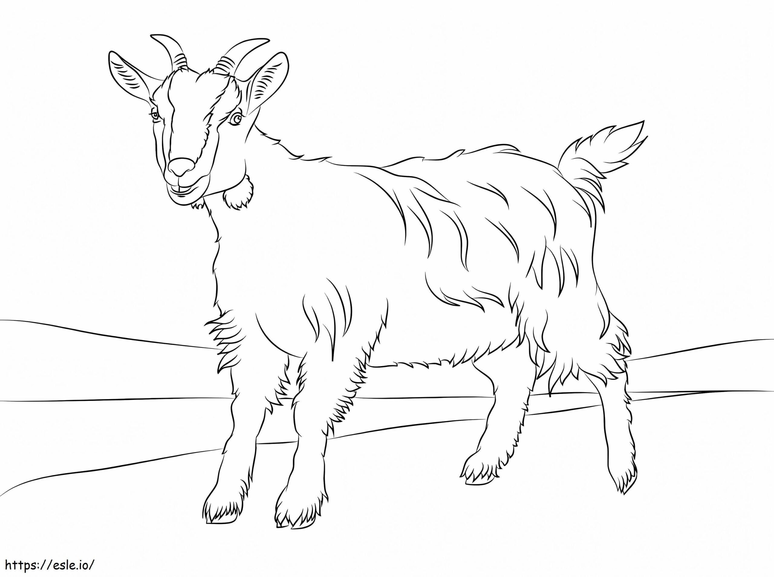 Free Printable Pictures Of Goats