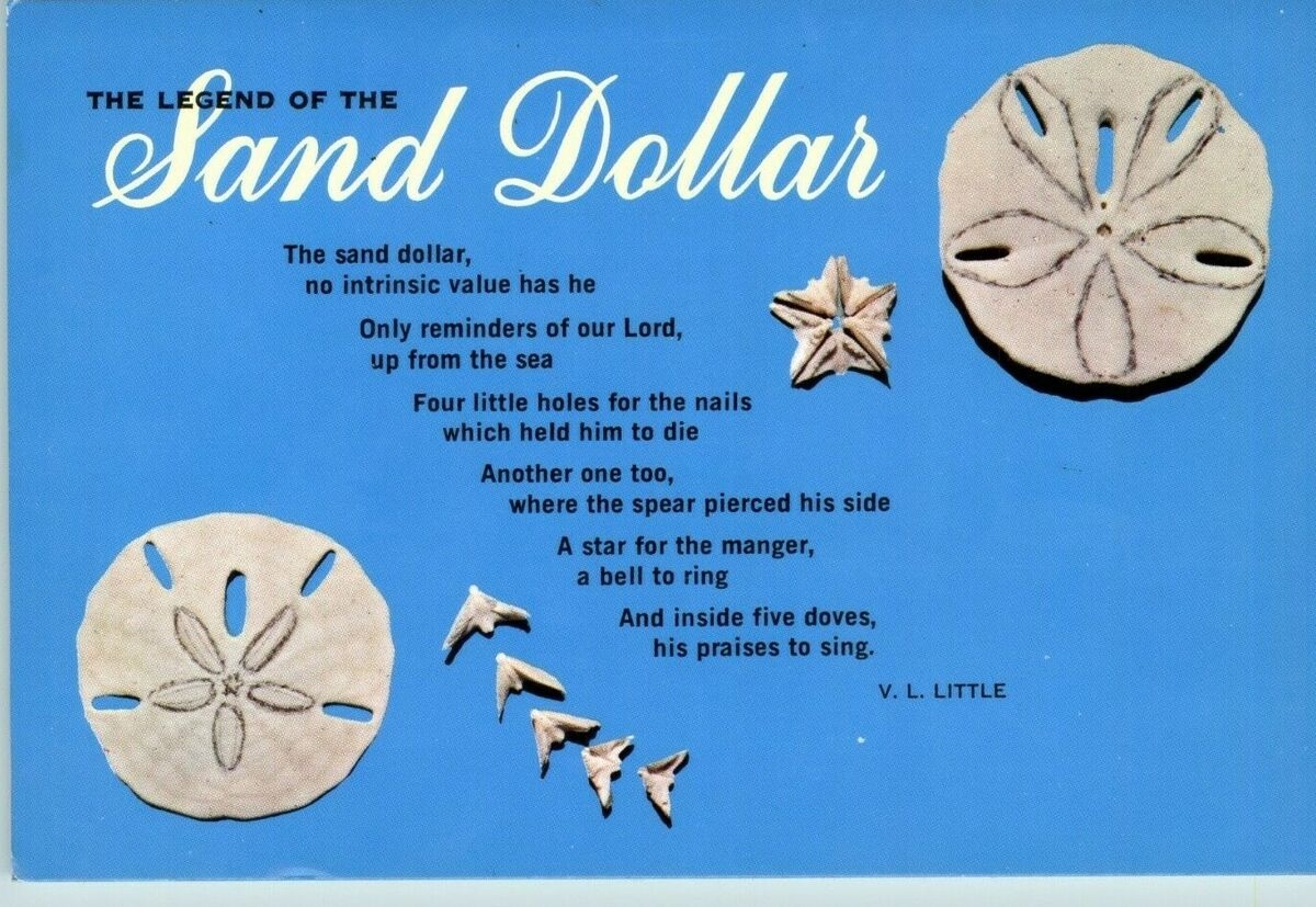 The Legend Of The Sand Dollar Poem Postcard Adverting Vintage Blue EBay