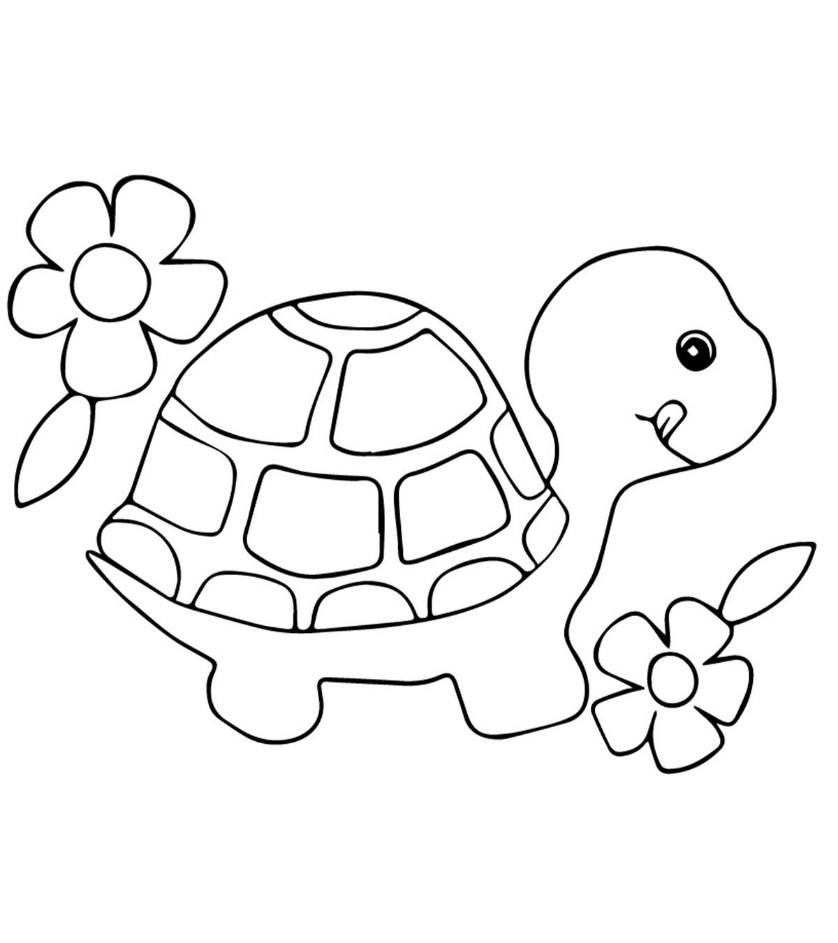 Printable Coloring Pages Turtle Advanced