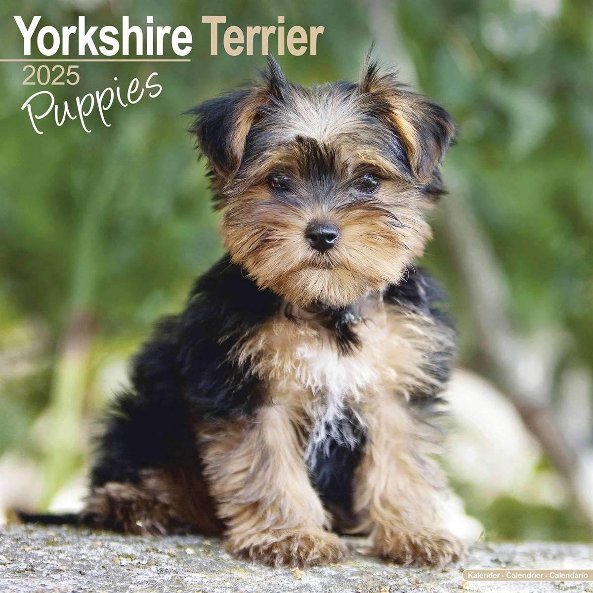 Yorkshire Official Terrier Puppies Mini Calendar